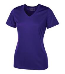 L3520 Ladies Dry-fit