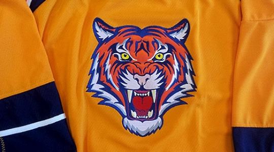 Orange cat jersey